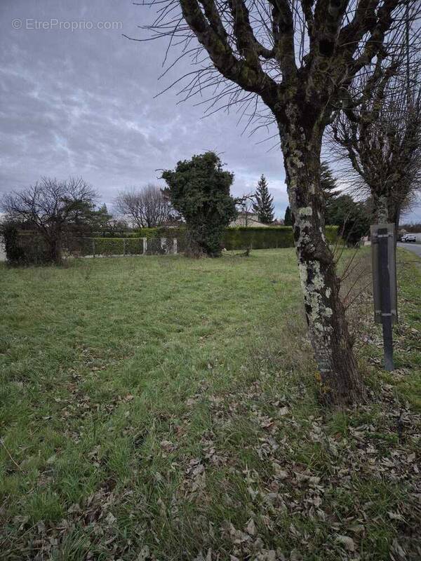 Terrain à MERPINS