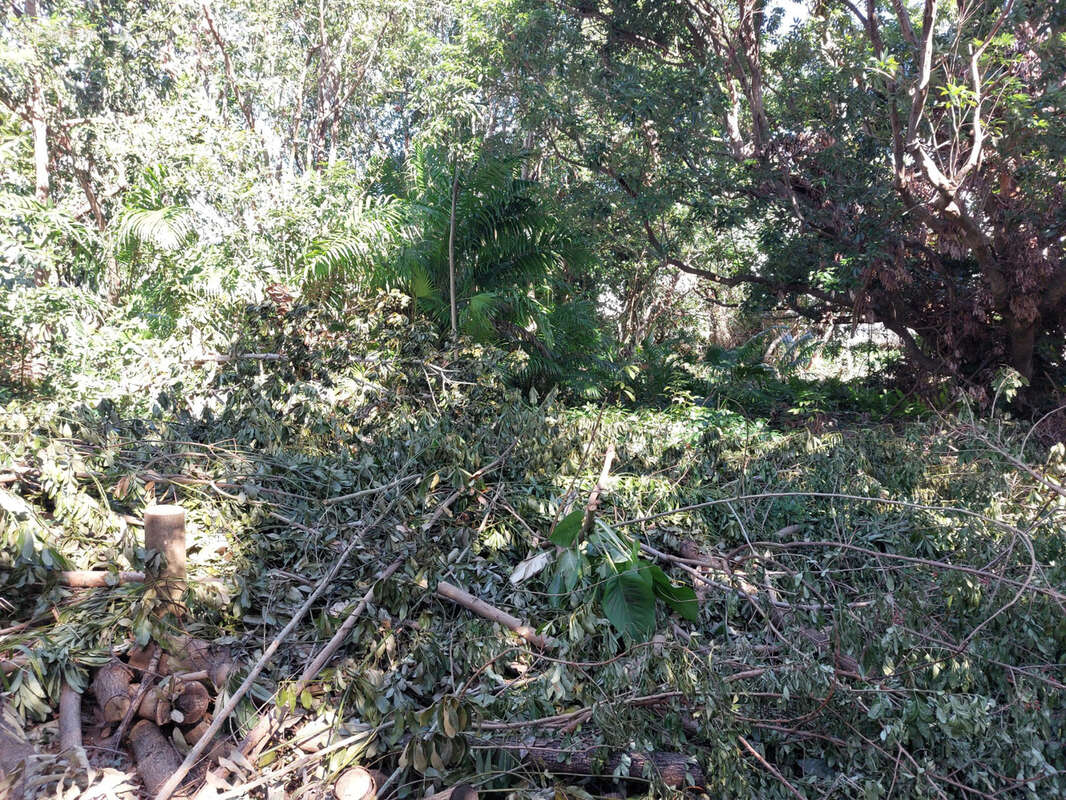 Terrain à SAINTE-MARIE