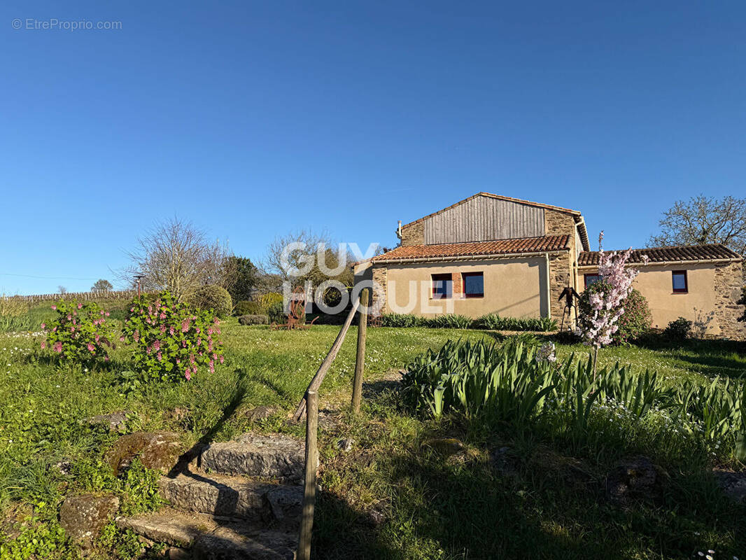 Maison à HAUTE-GOULAINE