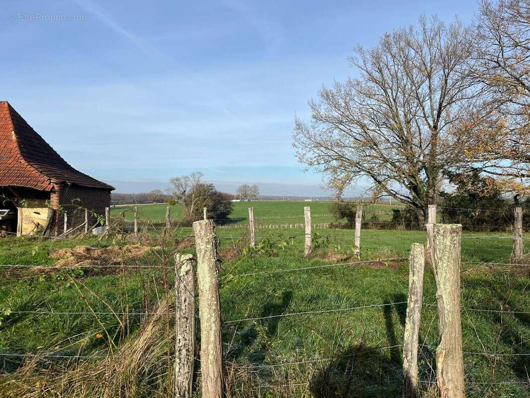 Photo 4 - Terrain à MOUTHIER-EN-BRESSE