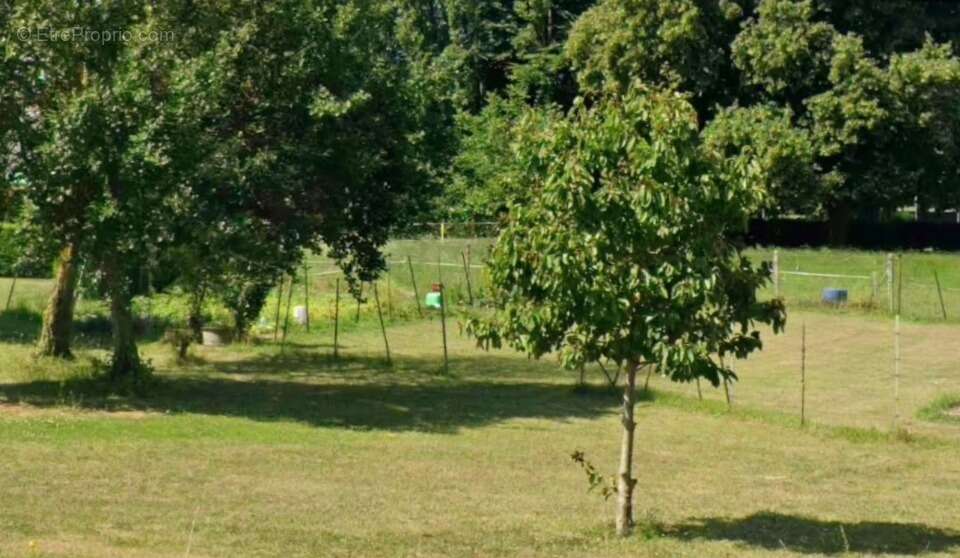 Terrain à BUIGNY-SAINT-MACLOU