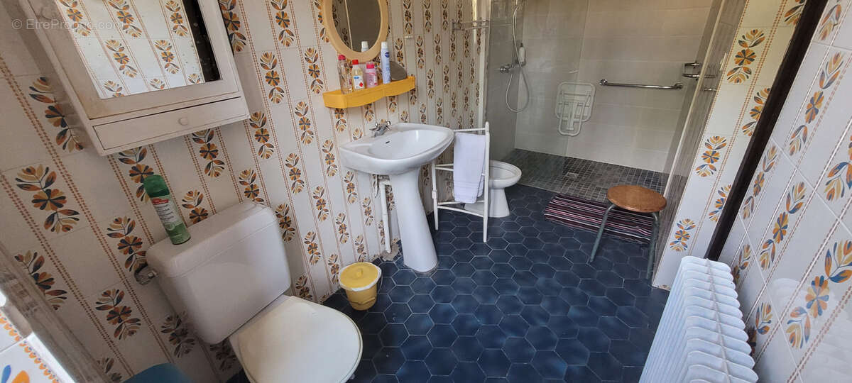 Secteur Samadet, maison de maître 6 chambres, avec sa dépendance sur plus de 2 hectares avec un puits - photo 8