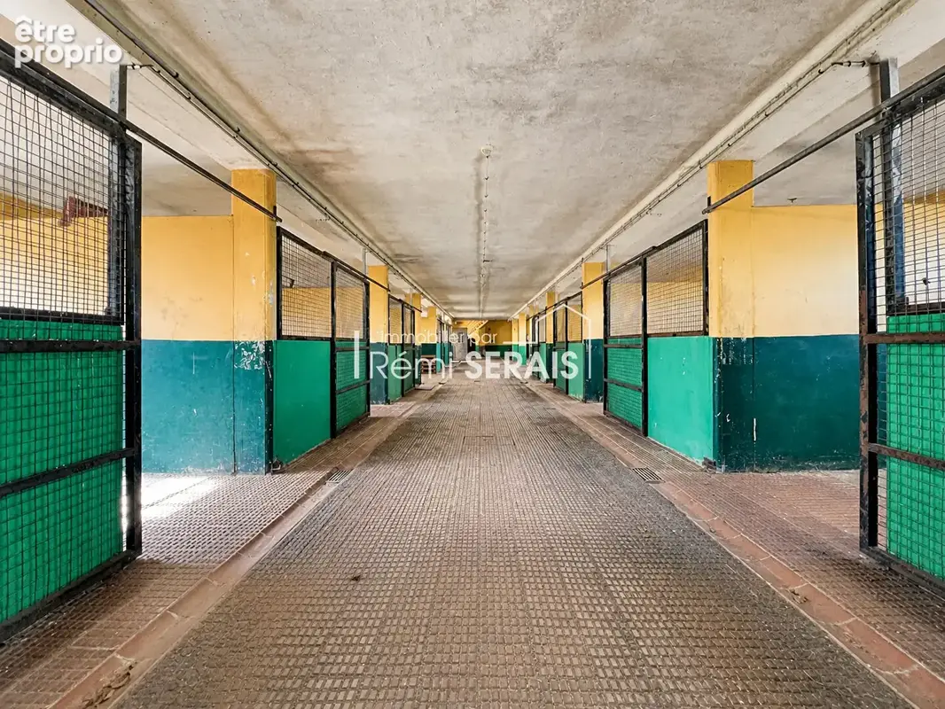 Propriété equestre Chailloue 230 m2 - photo 9