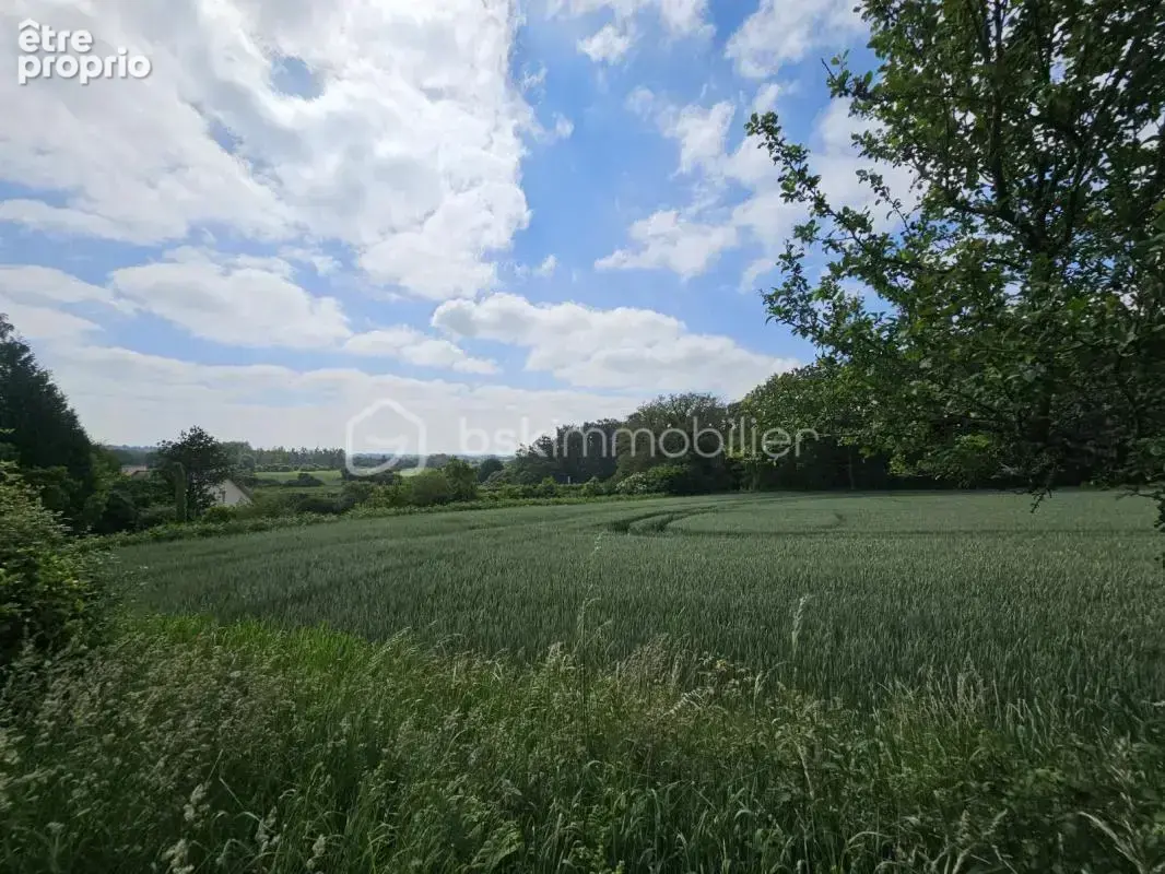 Maison à la nantaise 127m² / 5 chambres / 3000m² de terrain - photo 3