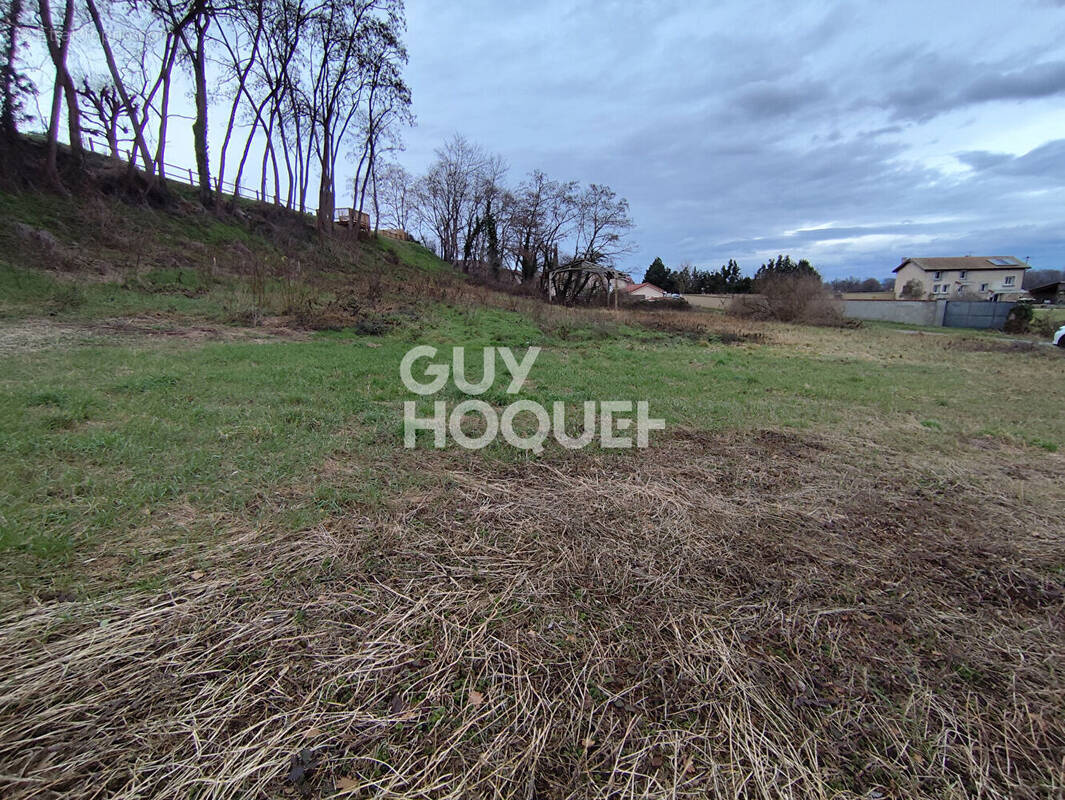 Terrain à MAGNEUX-HAUTE-RIVE