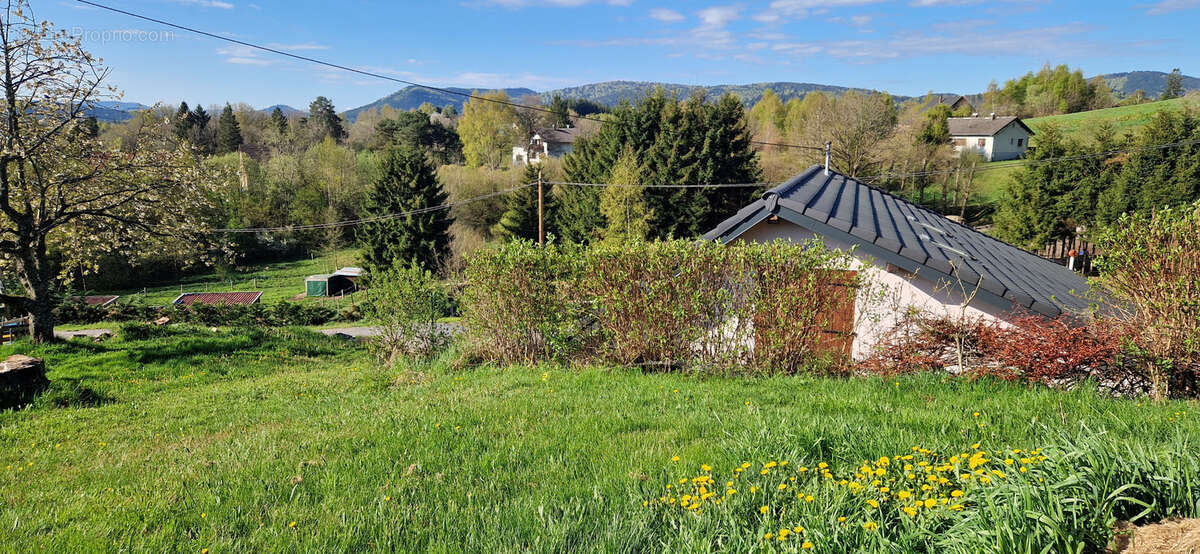 Maison à PLAINE