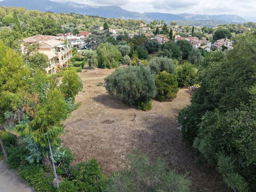 Roquefort Les Pins - Terrain plat constructible de 2513 m2 - photo 2