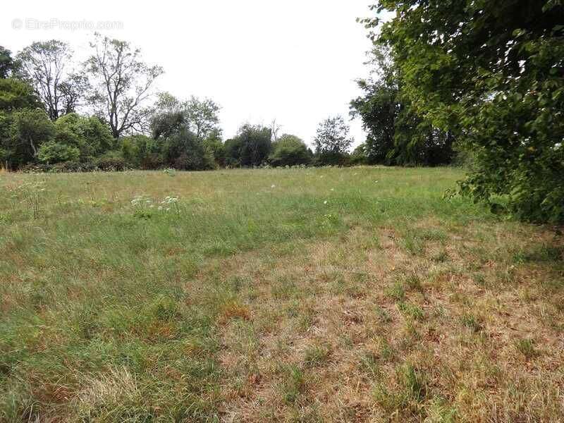 Terrain 4019 m² à Auneuil  - photo 4