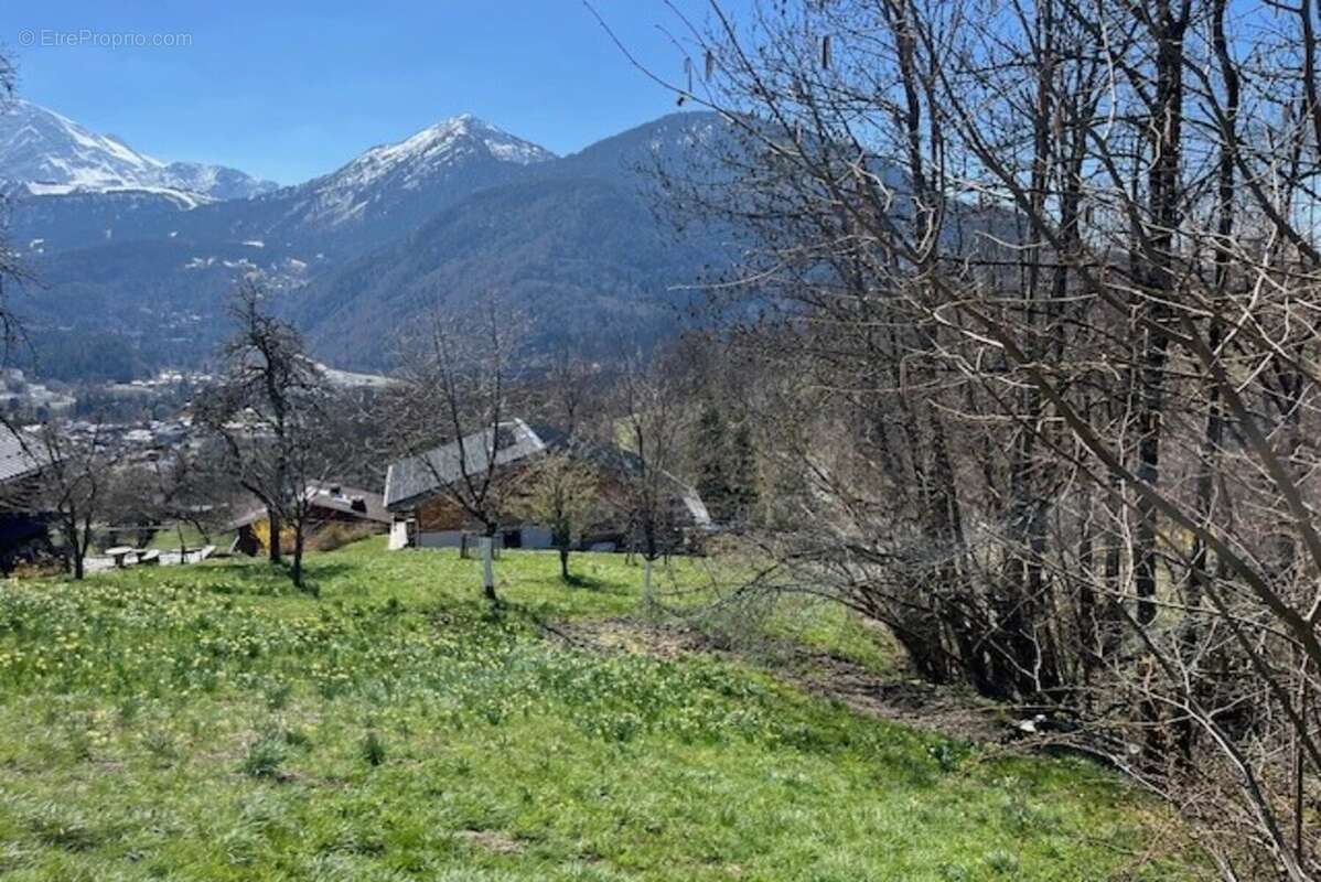 Terrain à SERVOZ
