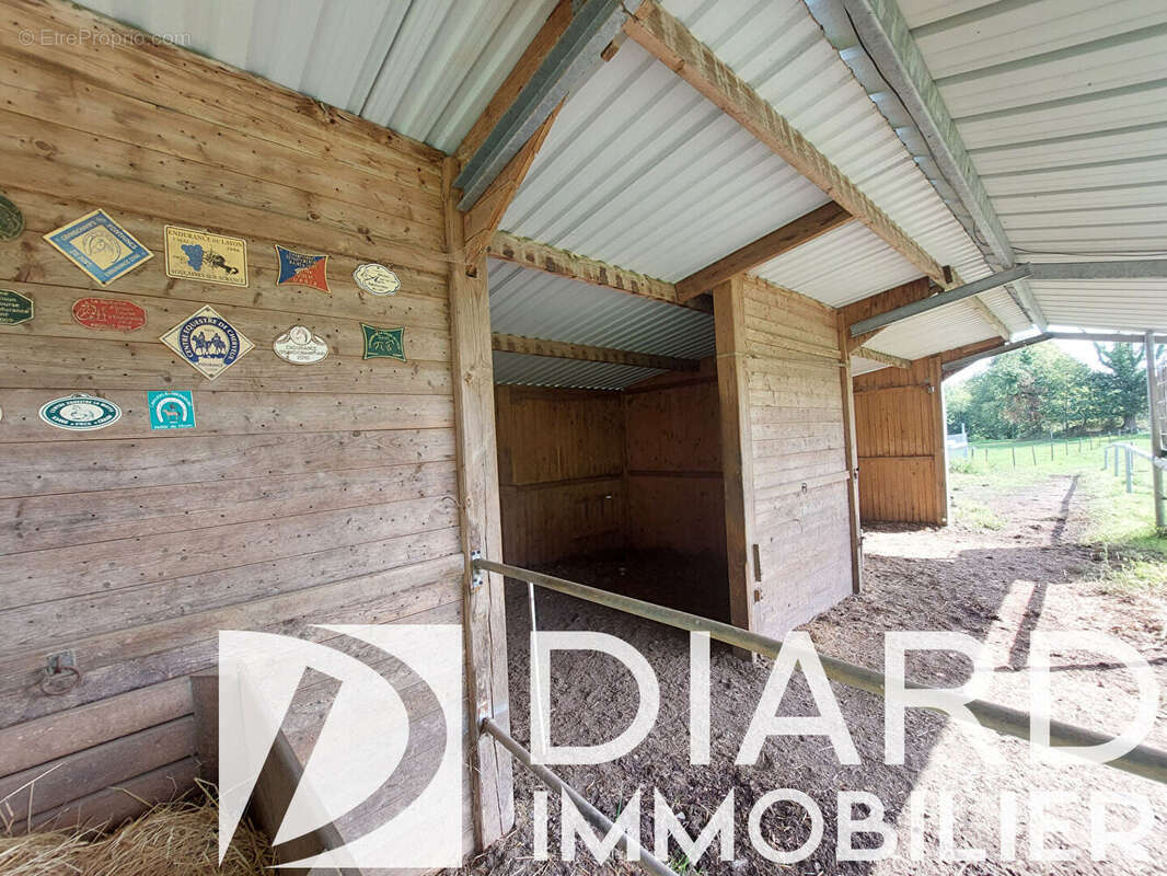 Maison LE PERTRE avec champs et box à chevaux - photo 9
