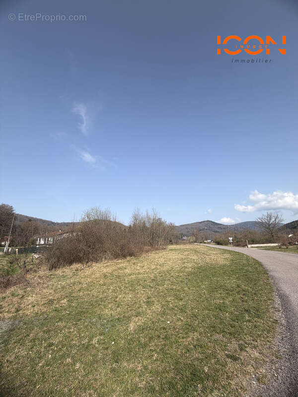 Terrain à PLANCHER-BAS