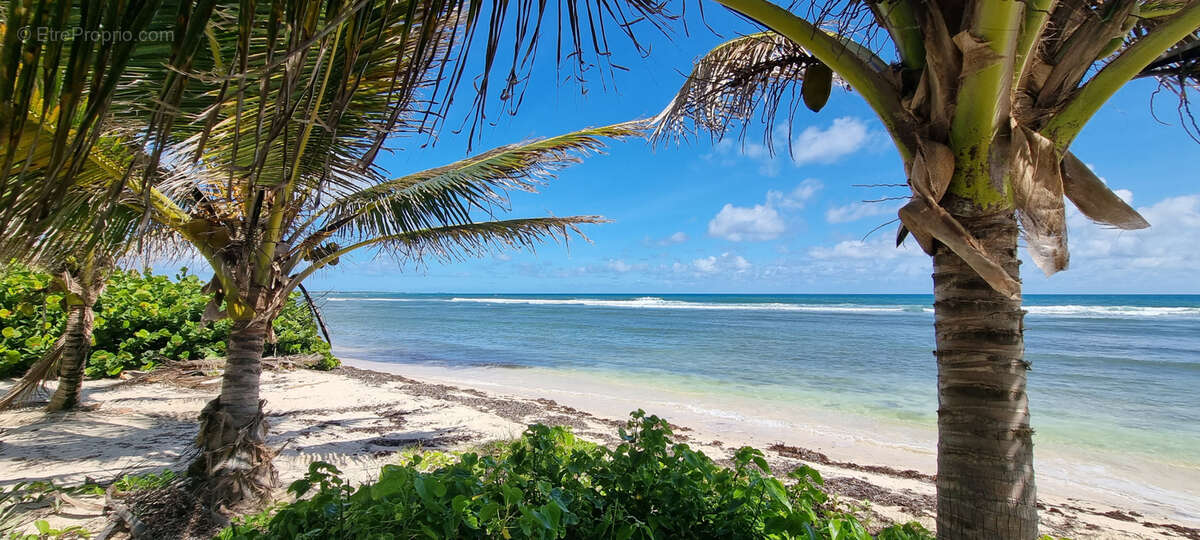 Appartement à SAINT-FRANCOIS