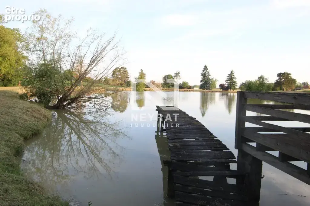 Etang avec sources - photo 16