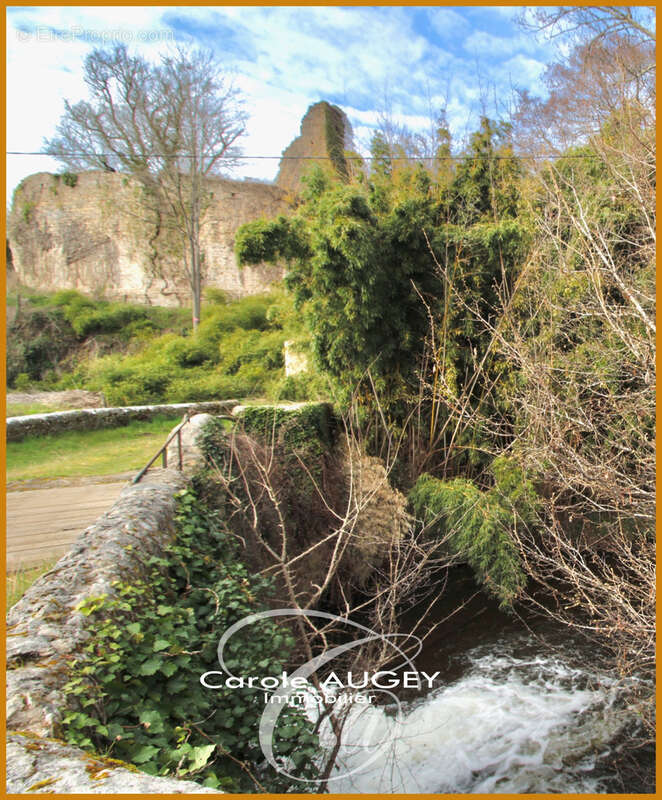 Maison à SAINT-LEGER-DE-BALSON