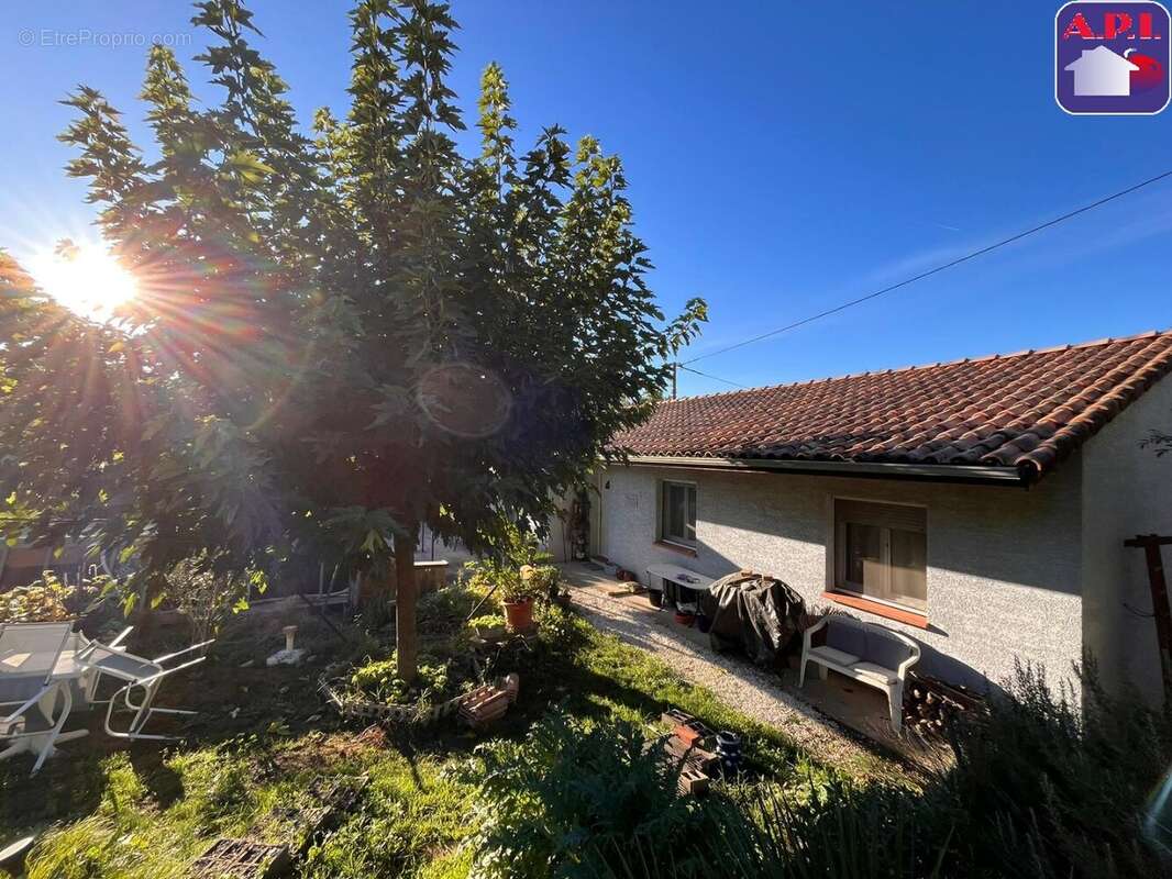 Maison à SAINT-JEAN-DU-FALGA