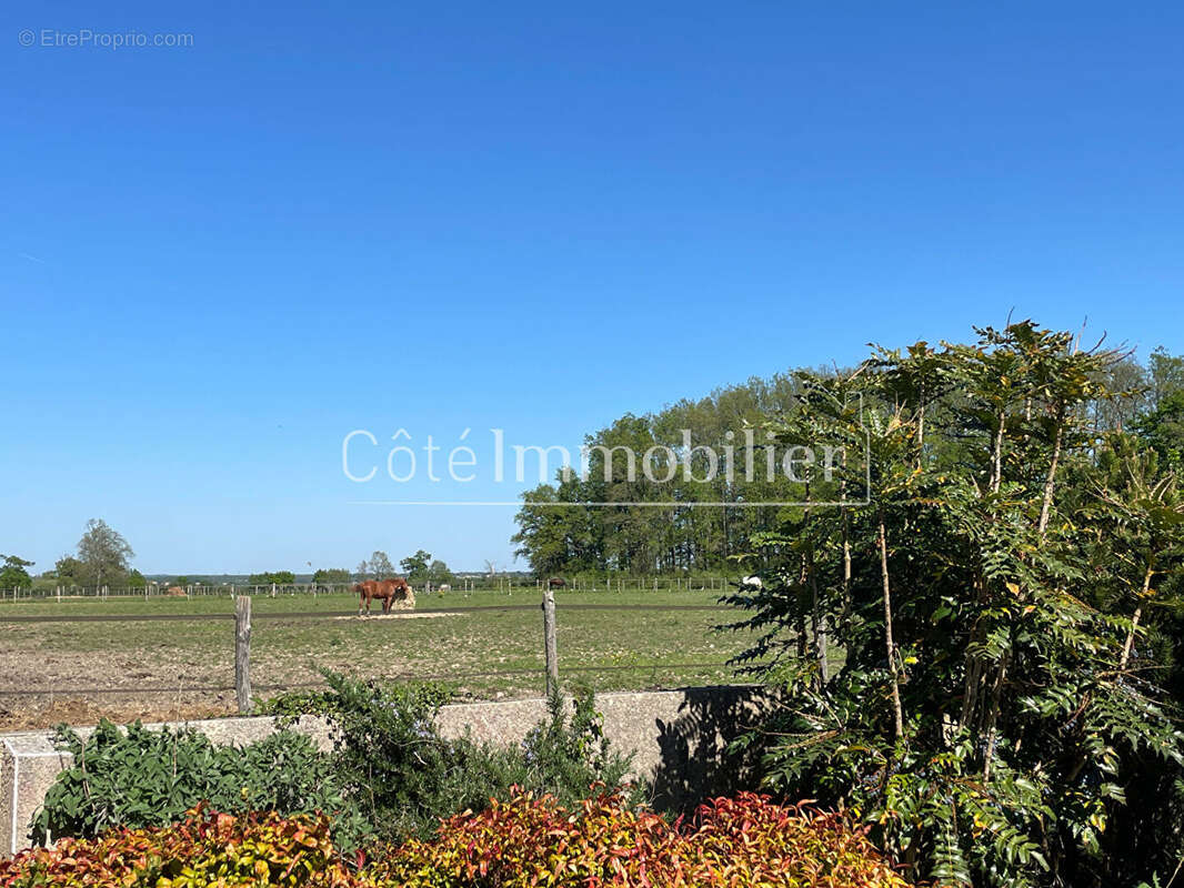 Maison 163 m² à Port-Saint-Pere  - photo 10