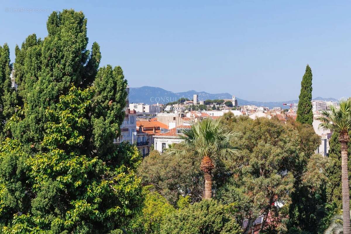 Cannes Hypercentre – Élégant 3 pièces rénové, étage élevé, plein sud et vue dégagée - photo 13