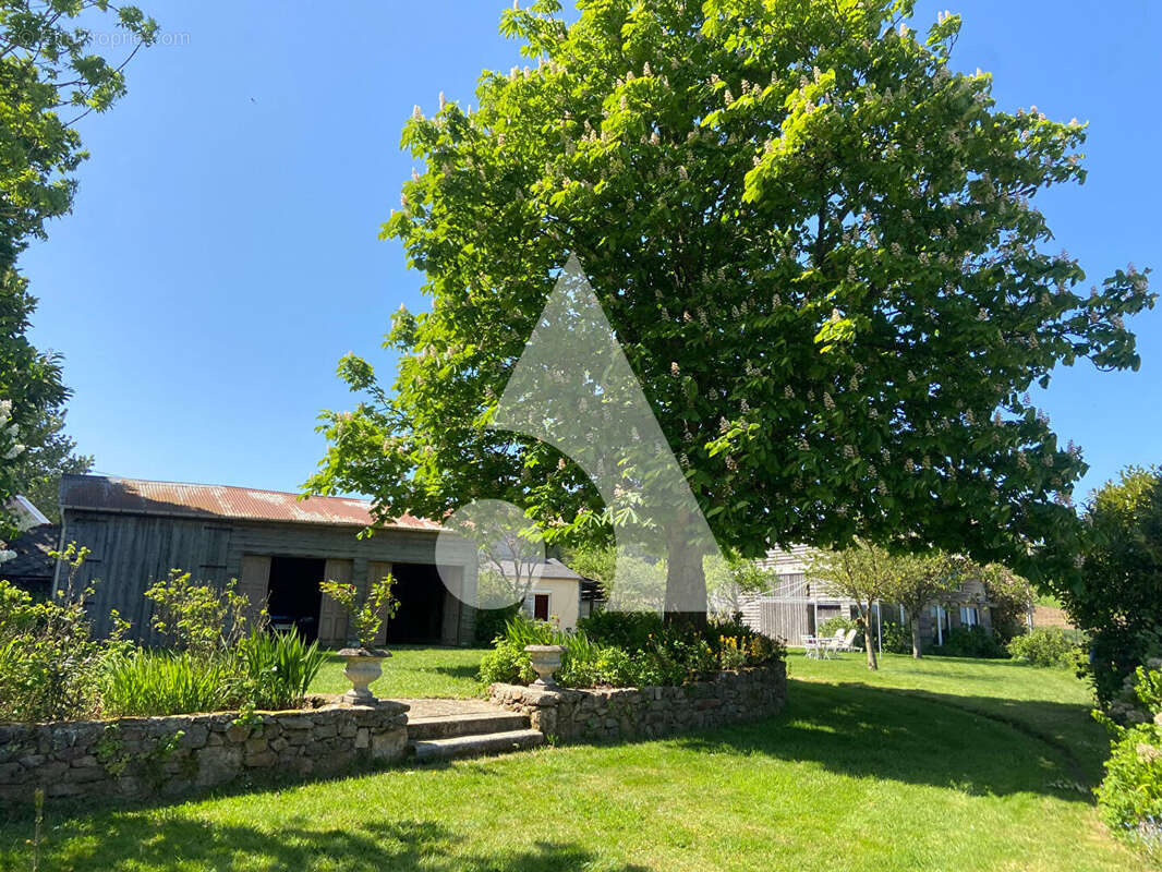 Maison à PLAINE-HAUTE
