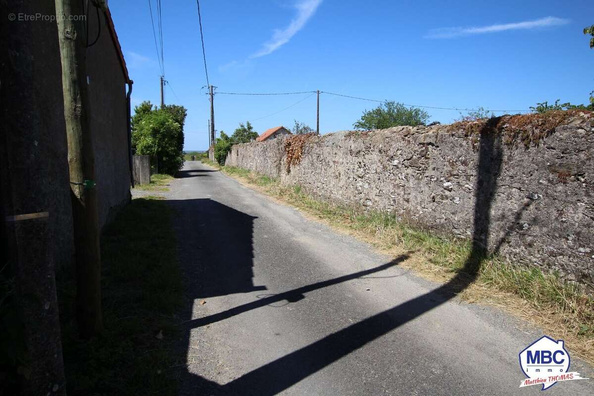 Terrain à SAINT-FLORENT-LE-VIEIL