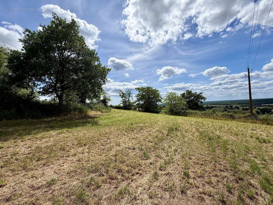 Grand ensemble, entièrement isolé avec 1,4 hectare à vendre près de Remilly - photo 60