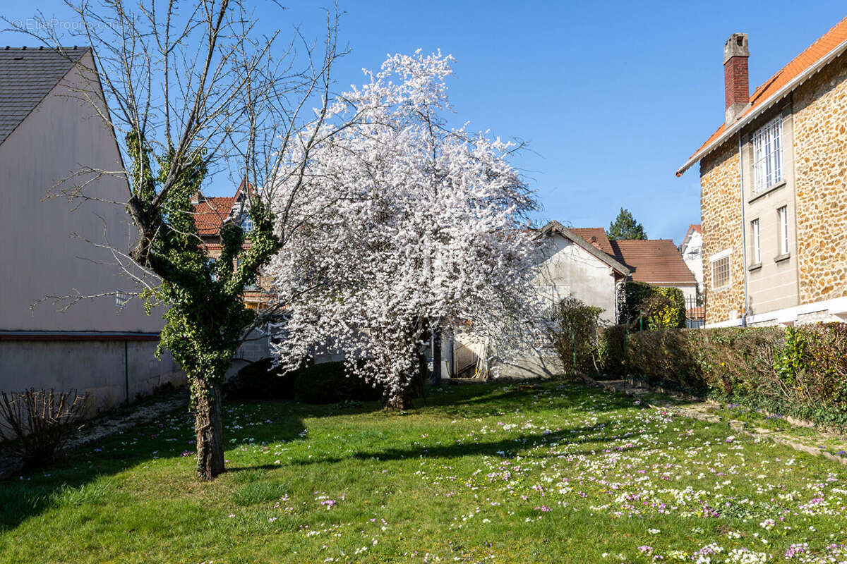 Terrain à ESBLY