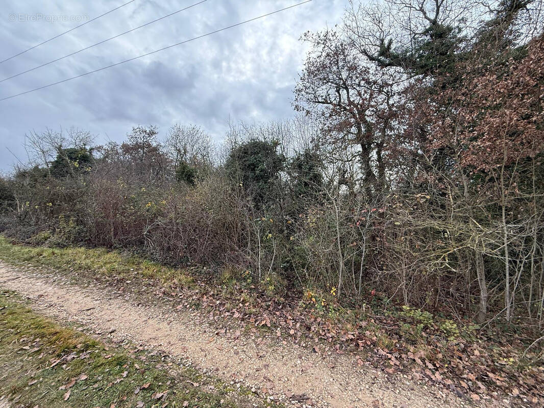 Terrain à GUILLERVAL