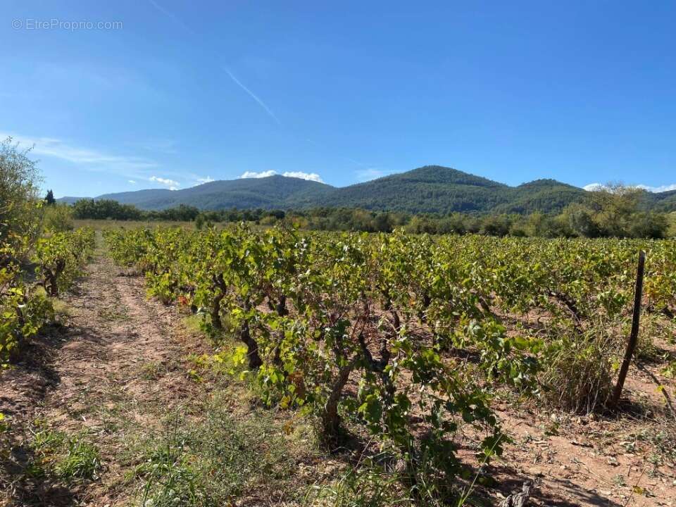 Terrain à LE CASTELLET