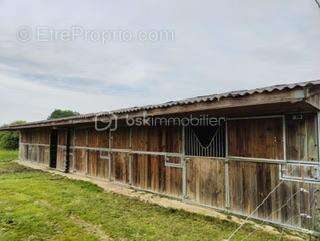 Maison à VILLENEUVE-SUR-YONNE