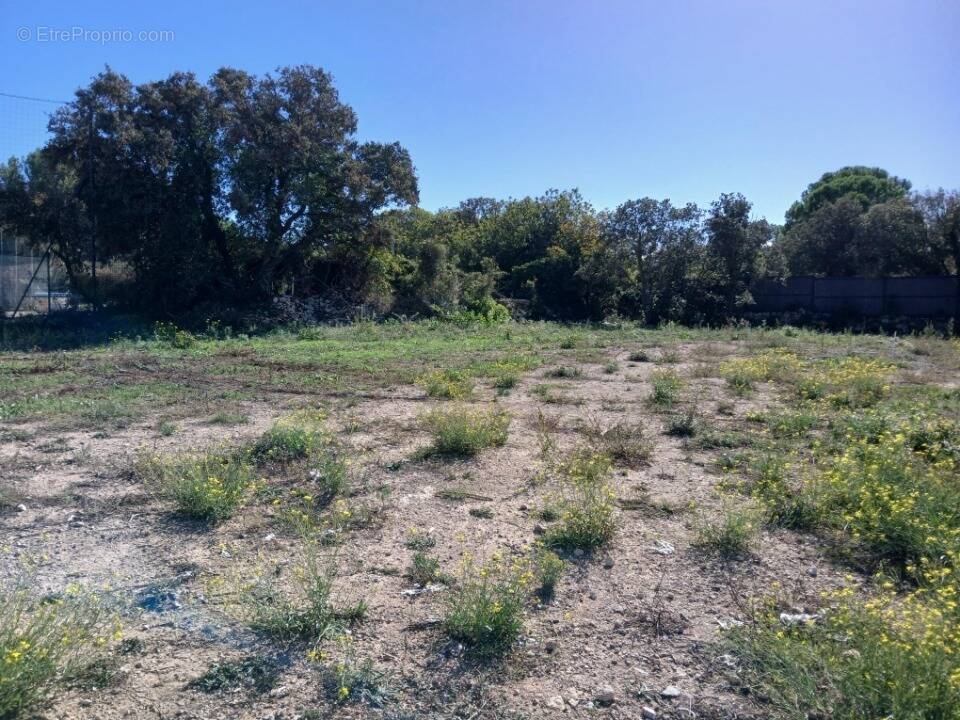Terrain à VIC-LA-GARDIOLE