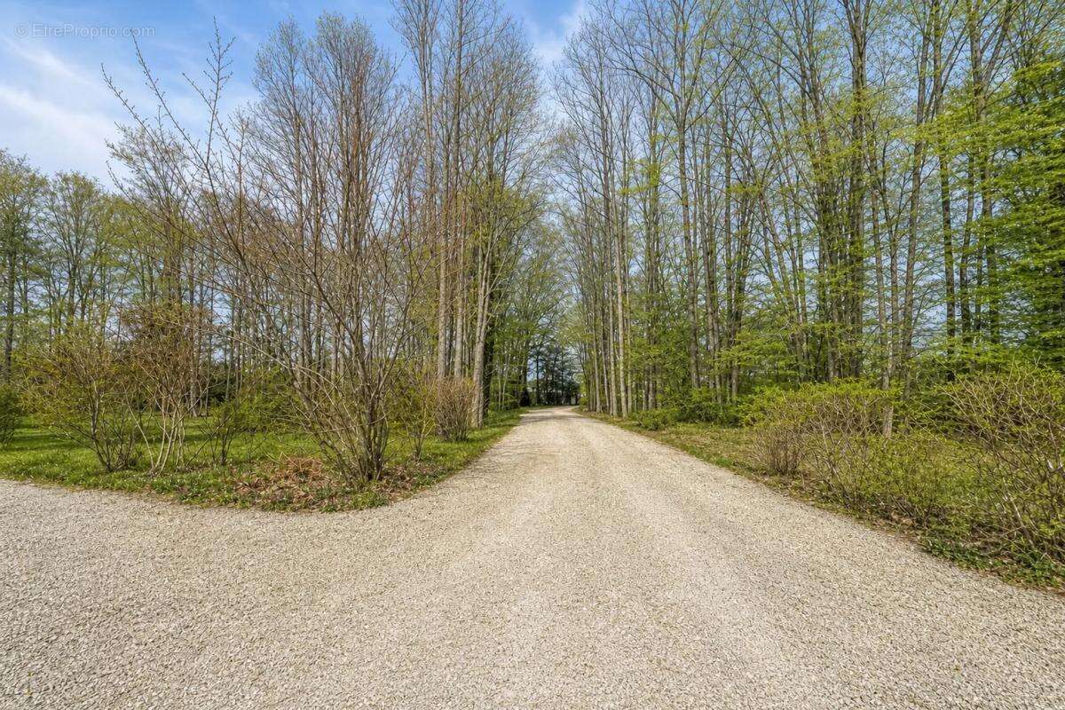 Majestueuse Maison Familiale de 303m², 2ha de Parc - photo 14