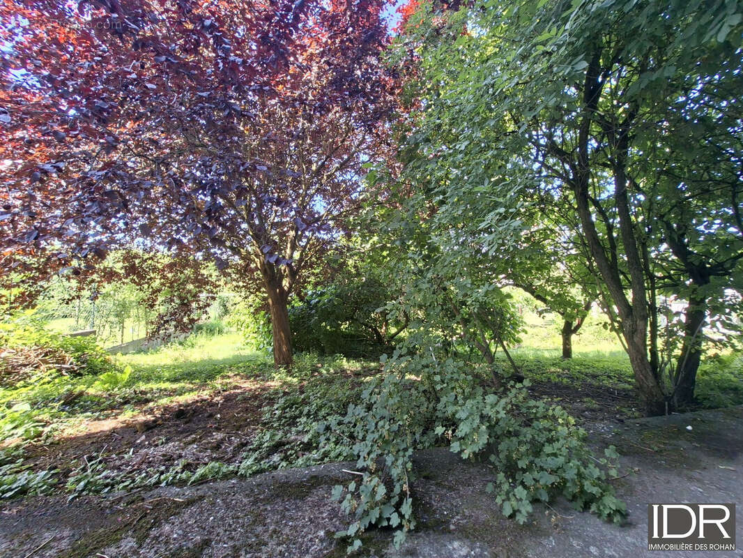 Maison 122 m² à Saverne  - photo 9