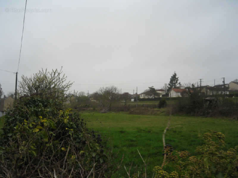 Terrain à SAINTE-EANNE