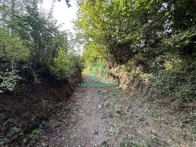 Terrain à LES MOLLETTES