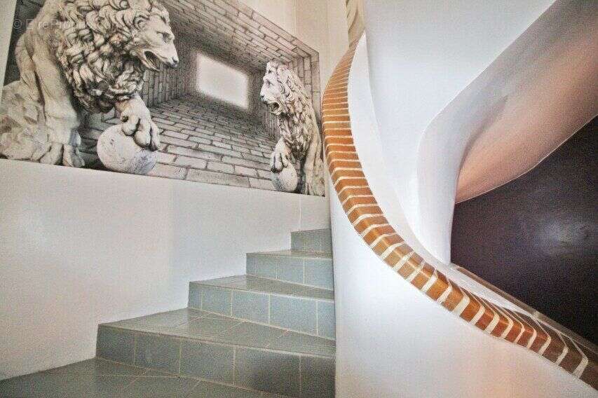 Photo 7 - Maison à LA SALVETAT-SUR-AGOUT