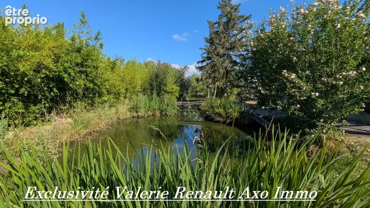 Maison T3 avec grand terrain arboré et grand plan d'eau - photo 3