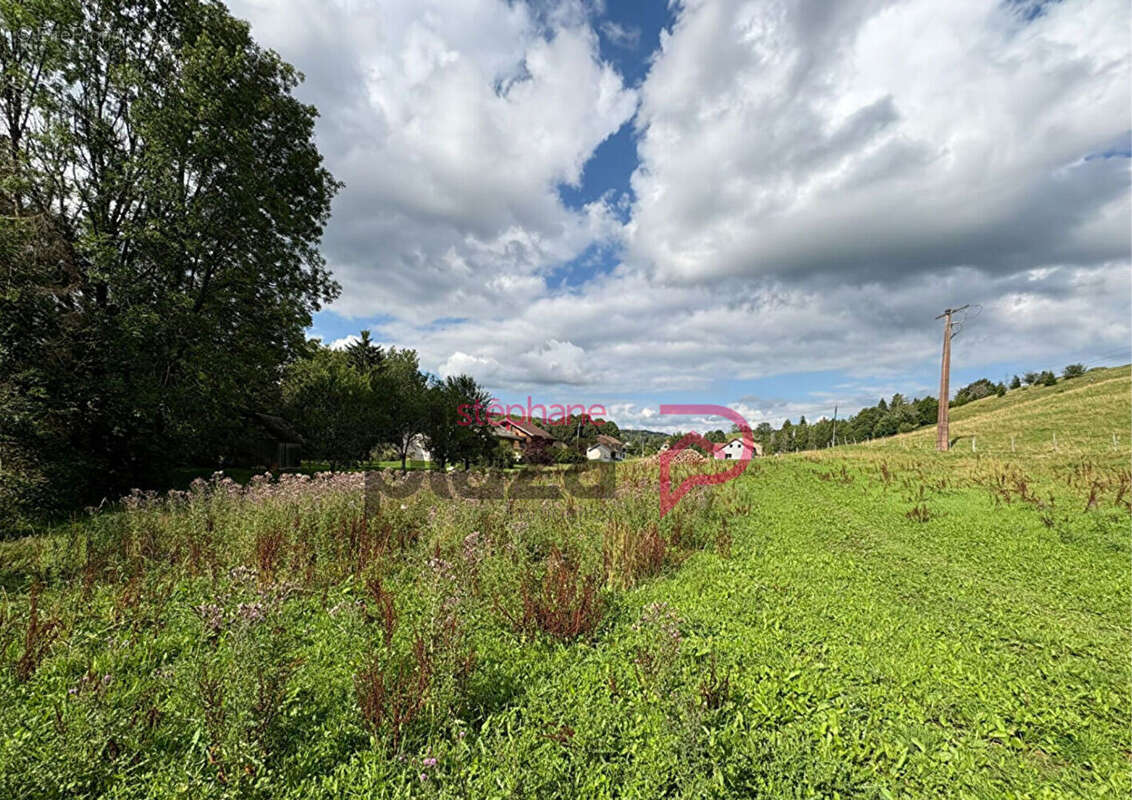 Terrain à FONCINE-LE-HAUT