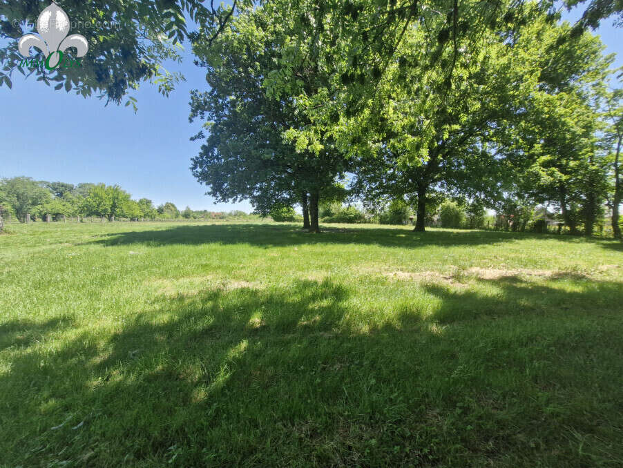 Maison à AUVILLARS-SUR-SAONE