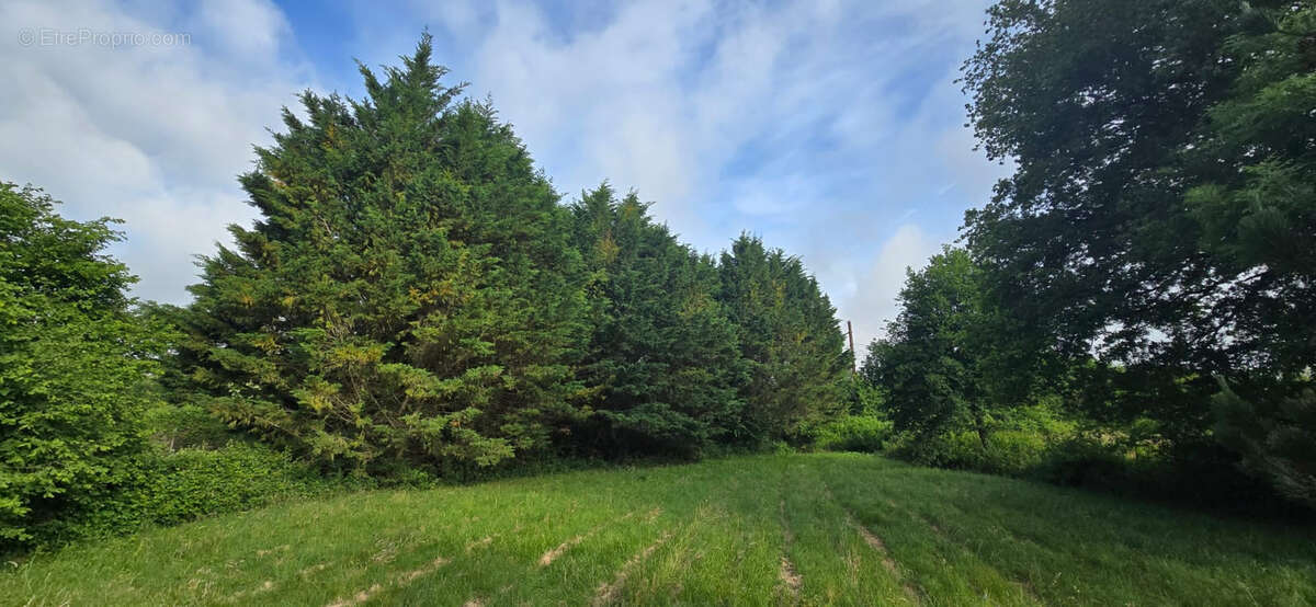 Terrain constructible 2 536 m2   Voulon, proche Vivonne - photo 3