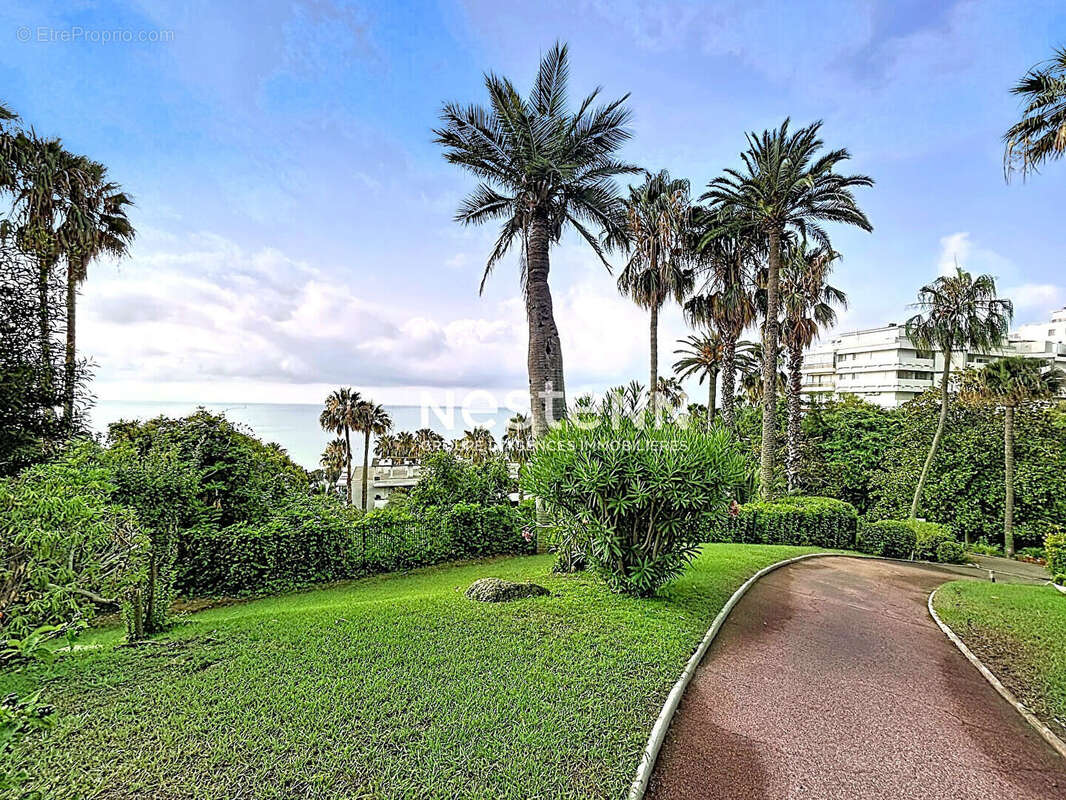 Golfe-Juan - Studio Rénové - 19m2 - Parking - Piscine - Tennis - Gardien - photo 5