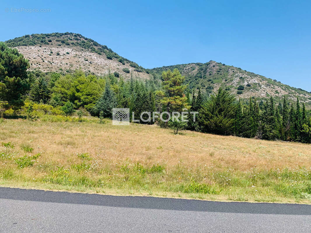 Terrain Sournia 4880 m2 - photo 5