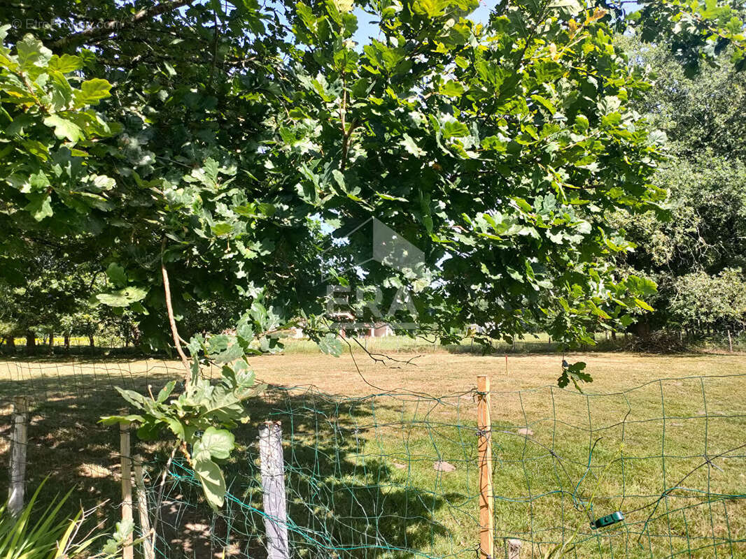 Maison 3 pièces à vendre à Saint-Savin - Terrain de 17200 m² - photo 11