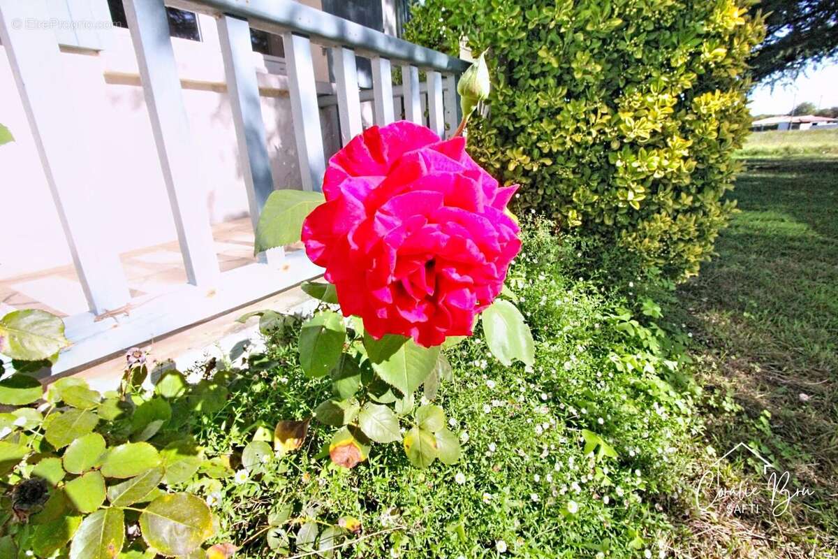 Photo 4 - Maison à SAINT-GERVAIS