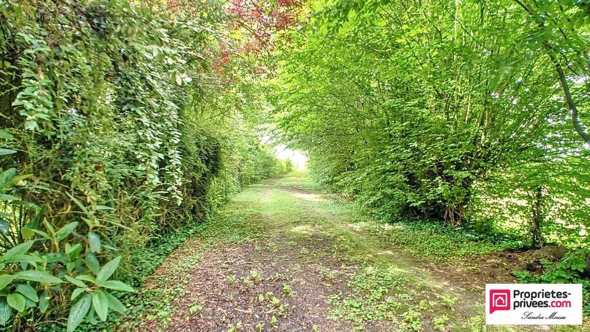 2 maisons indépendantes  idéal gîte ou investissement - photo 18