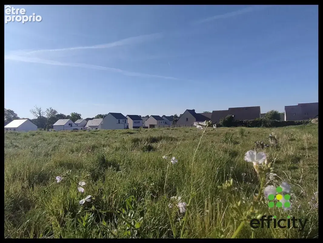 Terrain 363 m² à Saint-Didier  - photo 2