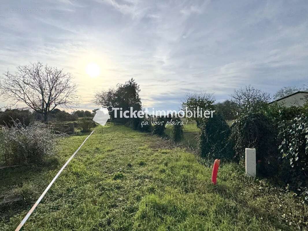 Terrain à MONDONVILLE