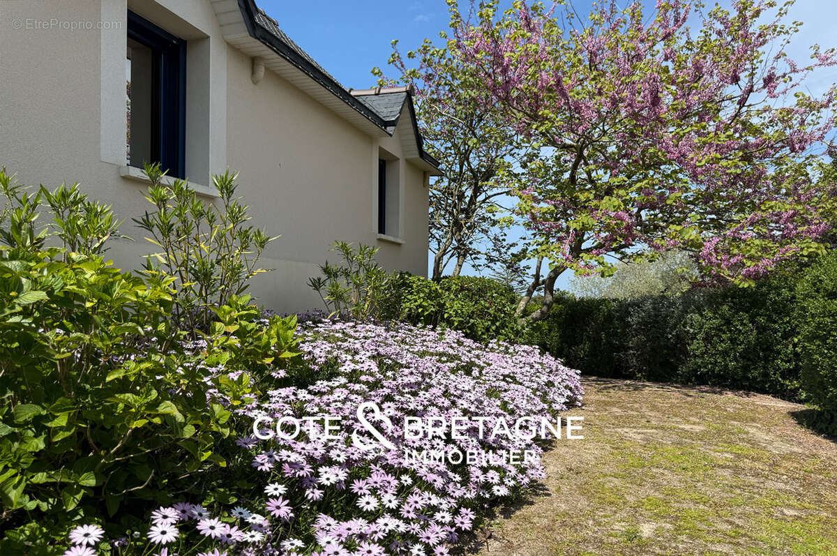 Maison à PLENEUF-VAL-ANDRE