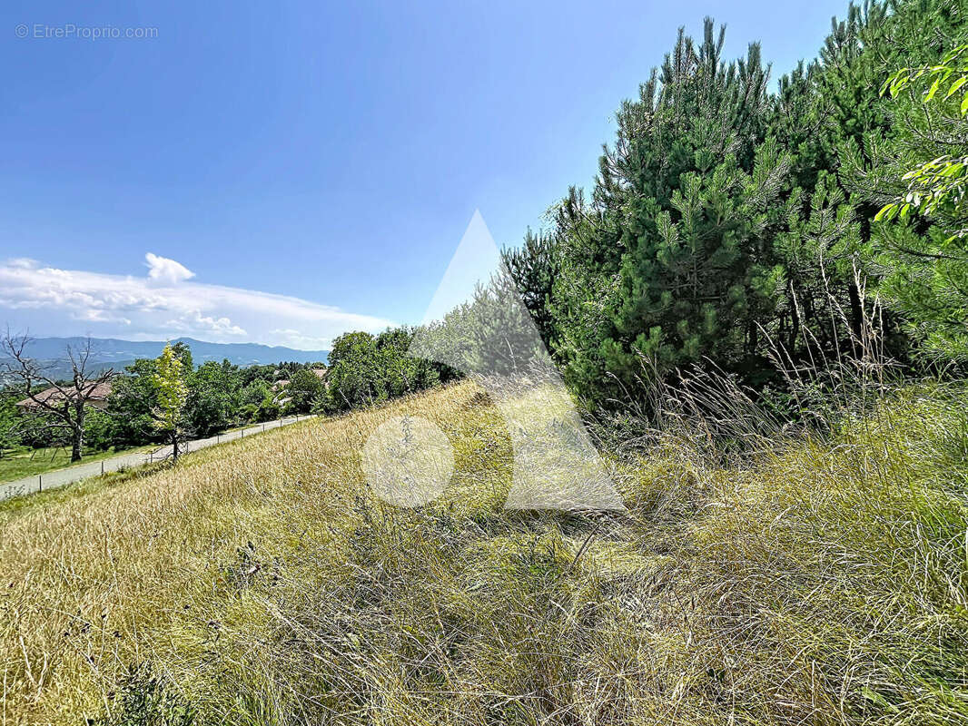 Terrain constructible de1455 m2 à La Freissinouse - photo 8
