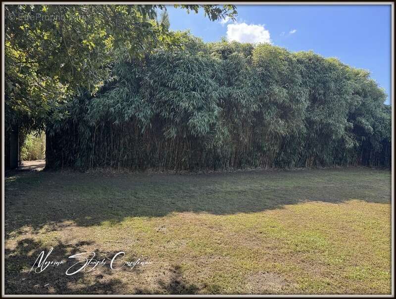 Maison à BENESSE-MAREMNE