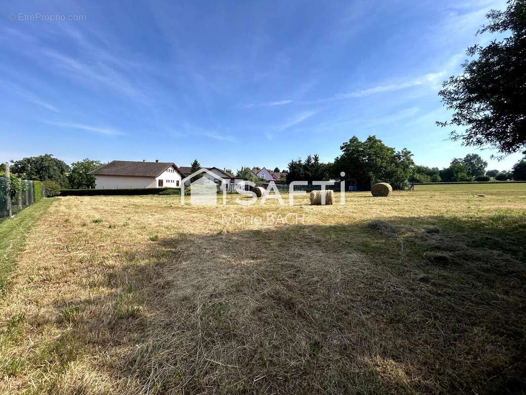 Terrain 3318 m² à Diemeringen  - photo 3