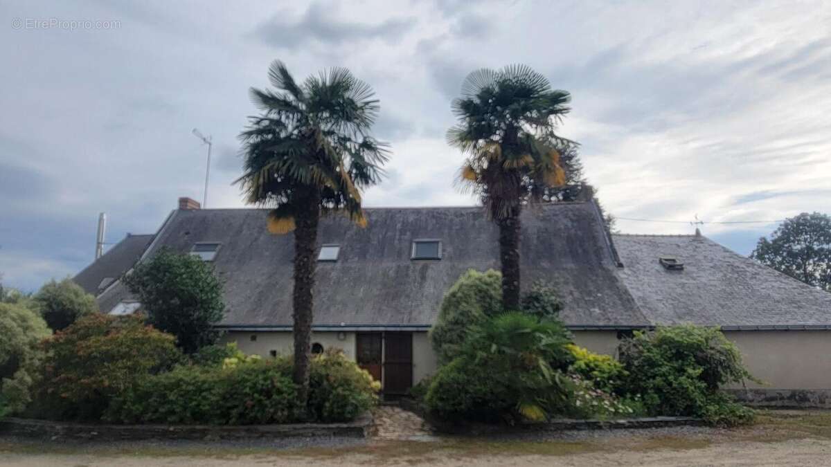 Photo 6 - Maison à BRAIN-SUR-L&#039;AUTHION